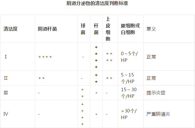 全自动阴道分泌物91短视频免费下载剖析阴道分泌物的洁净度规范
