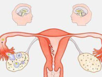 阴道分泌物91短视频免费下载器厂家分析女人排卵的感觉