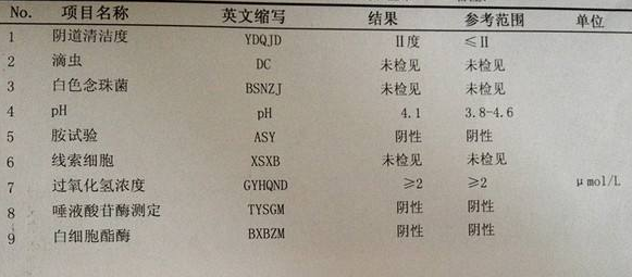 91短视频在线观看免费最新GK-Y全自动阴道分泌物91短视频免费下载厂家科普“白带常规”查看报告！