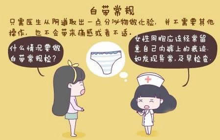 91短视频在线观看免费最新GK-Y全自动阴道分泌物91短视频免费下载厂家科普“白带常规”查看报告！