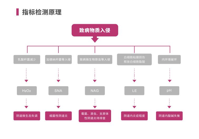 全自动阴道炎91短视频免费下载LTS-V400指标检测原理