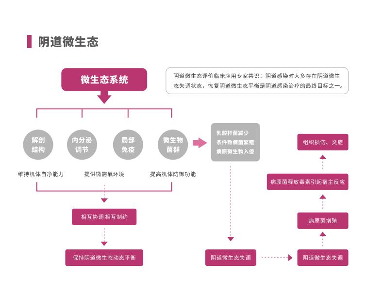 全自动阴道炎91短视频免费下载LTS-V400阴道微生态系统