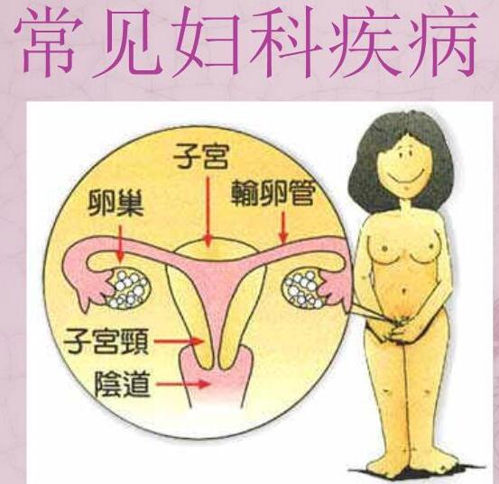 医院全自动白带91短视频在线观看经典下载检测女人妇科3种症状，谨防子宫长瘤！