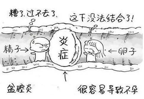 全自动妇科阴道分泌物91短视频在线观看经典下载检测辨别妇科炎症复杂多样！