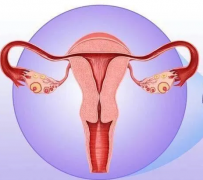 妇科阴道炎91短视频免费下载器厂家提醒女性坚持泡水喝，消炎灭菌，远离妇科炎症